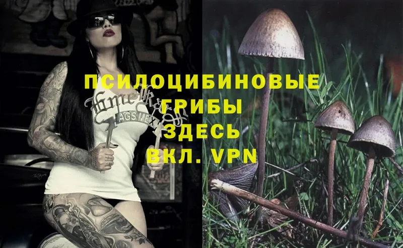 Псилоцибиновые грибы Magic Shrooms  Геленджик 